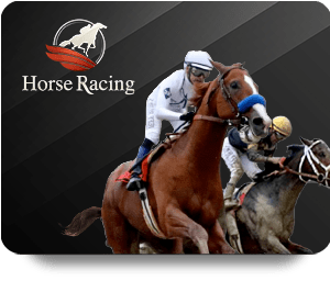 Live the Thrills with KUBET Live Dealer Hot Today